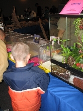 Fall 2010 show