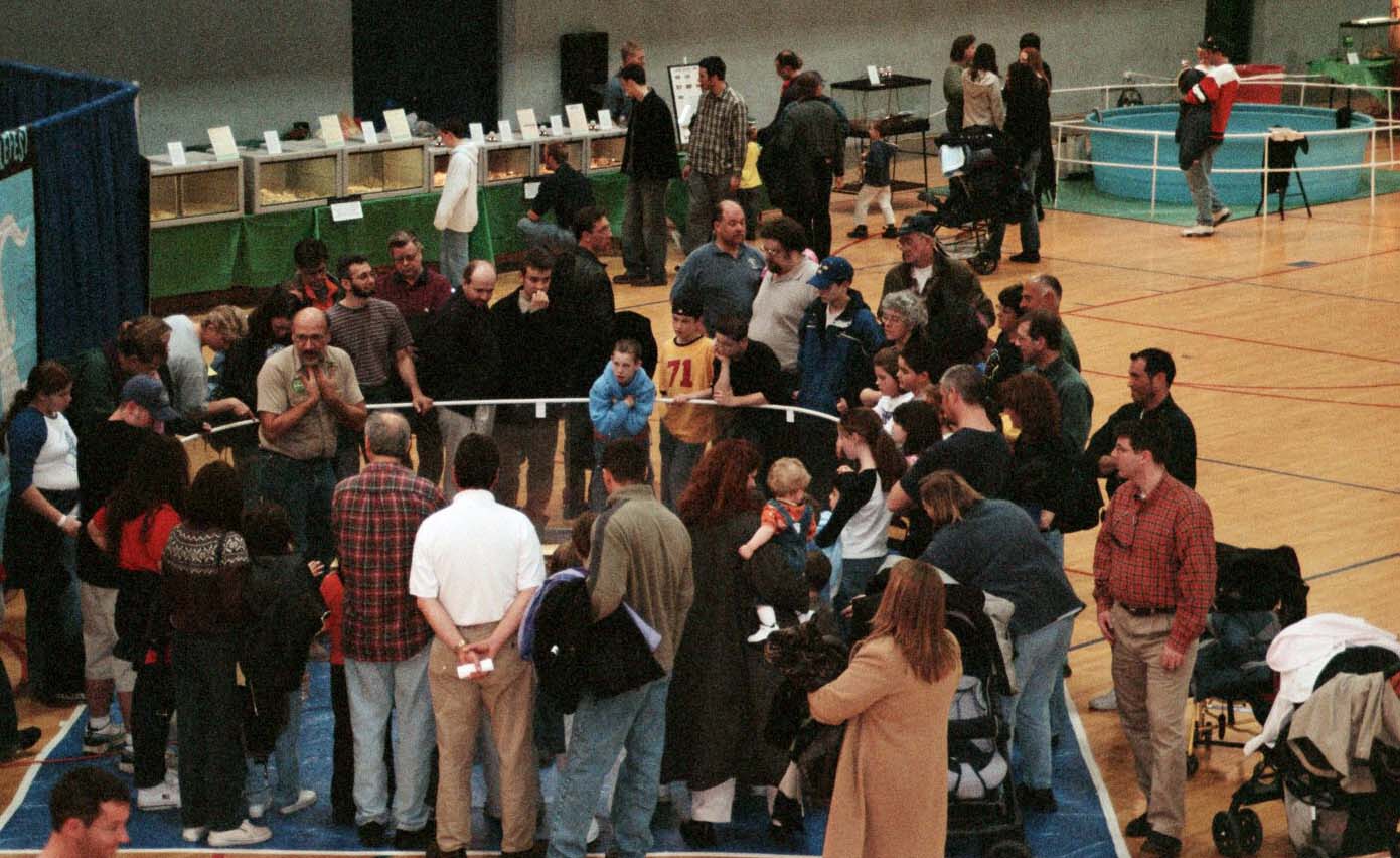 Chicago Herp Society's Reptile Fest