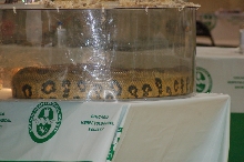 Reptilefest 2011