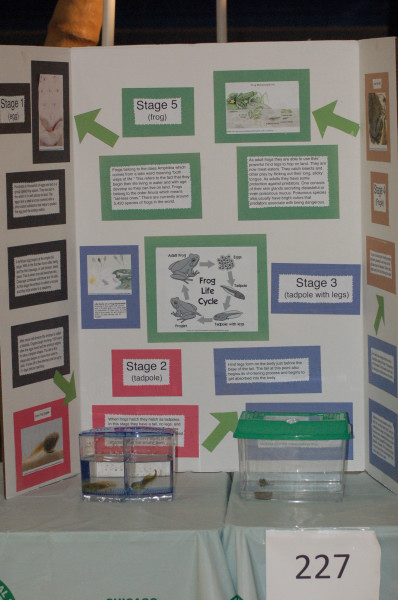 Reptilefest 2011