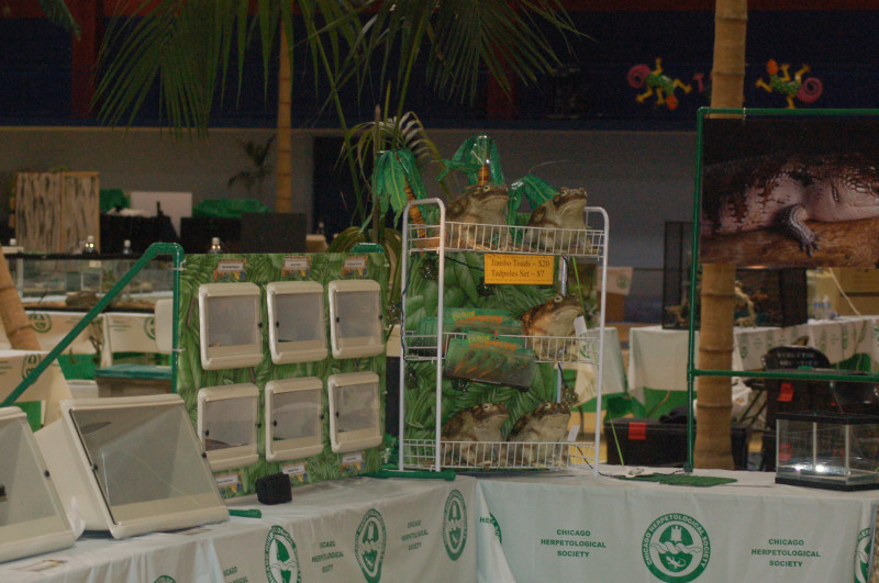 Reptilefest 2011