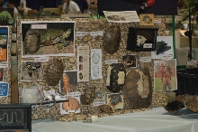 Reptilefest 2011