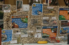 Reptilefest 2011