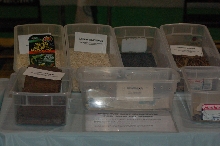 Reptilefest 2011