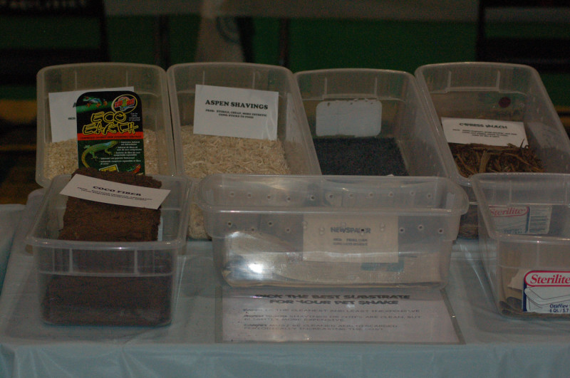 Reptilefest 2011