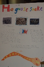 Reptilefest 2011