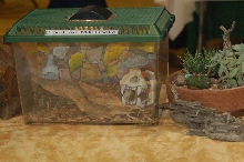 Reptilefest 2011