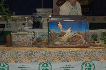 Reptilefest 2011