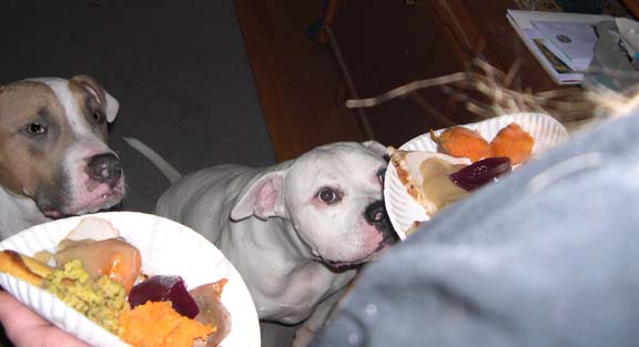 Thanksgiving 2006