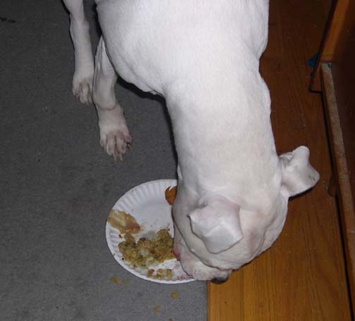 Thanksgiving 2006