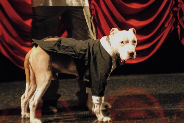 Wallace: Rise of an Underdog