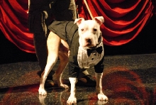 Wallace: Rise of an Underdog