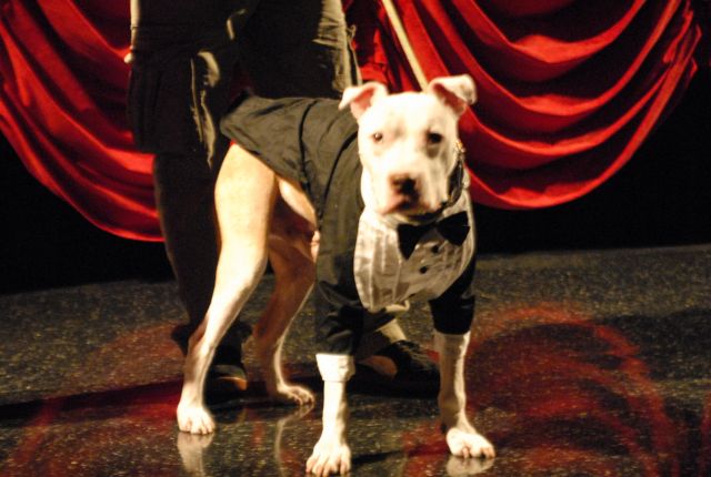 Wallace: Rise of an Underdog