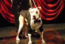Wallace: Rise of an Underdog