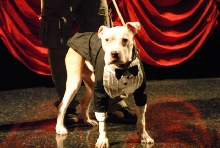 Wallace: Rise of an Underdog