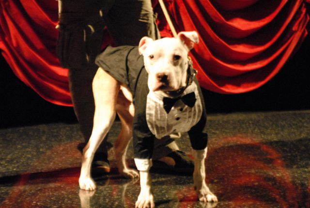 Wallace: Rise of an Underdog