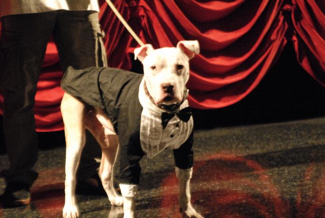 Wallace: Rise of an Underdog