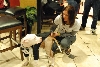 Wallace: Rise of an Underdog