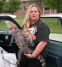 Wallygator