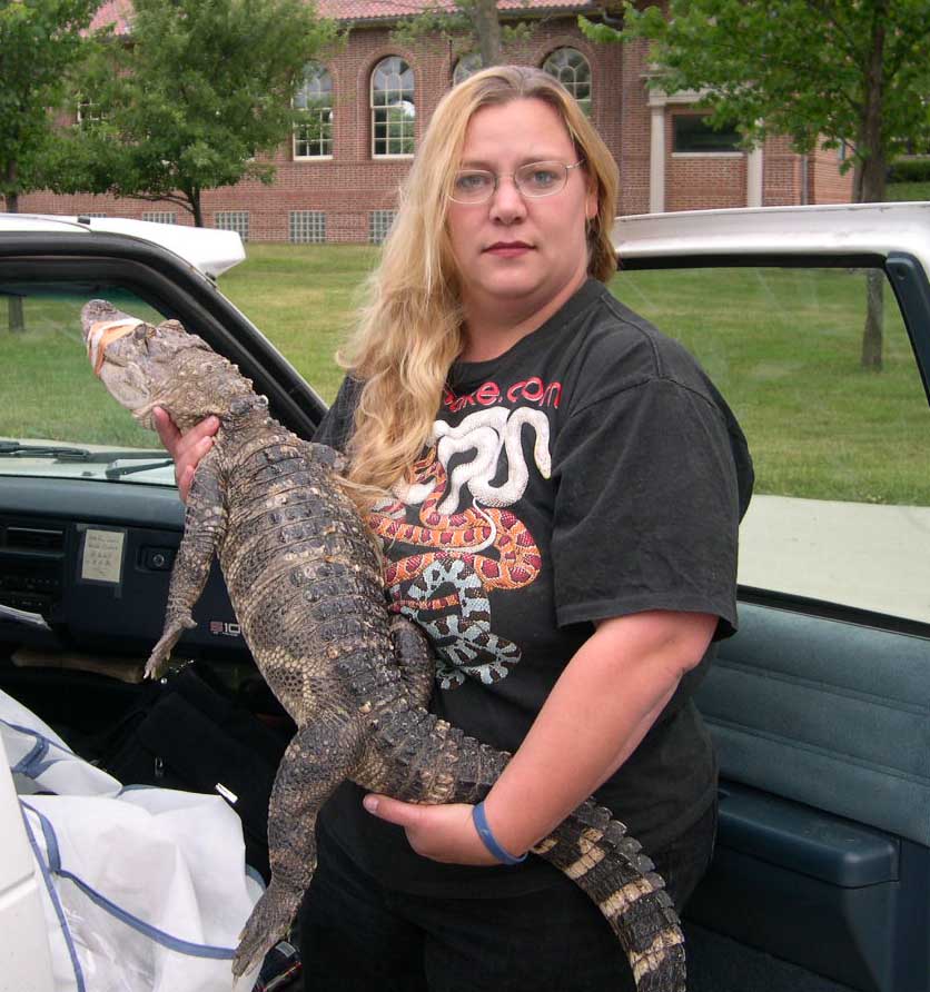 Wallygator