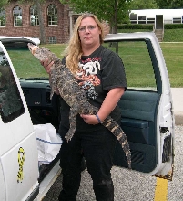 Wallygator