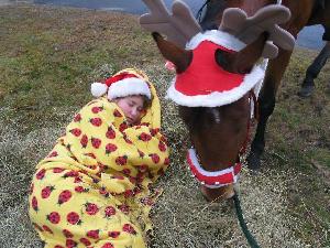 Allie and her horse
