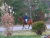 after 25 yrs, I think shes still got it! Look at that Paso smile