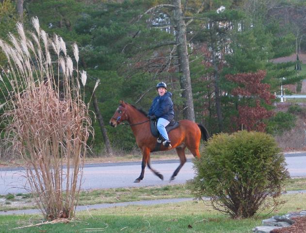 after 25 yrs, I think shes still got it! Look at that Paso smile