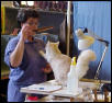 Cedar Rapids Cat Show