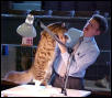 Cedar Rapids Cat Show