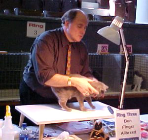 Cedar Rapids Cat Show