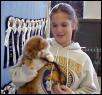 Cedar Rapids Cat Show