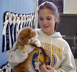 Cedar Rapids Cat Show