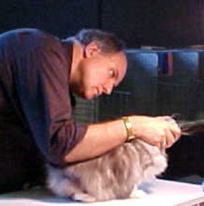 Cedar Rapids Cat Show