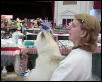 Cedar Rapids Cat Show