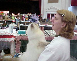 Cedar Rapids Cat Show