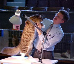 Cedar Rapids Cat Show
