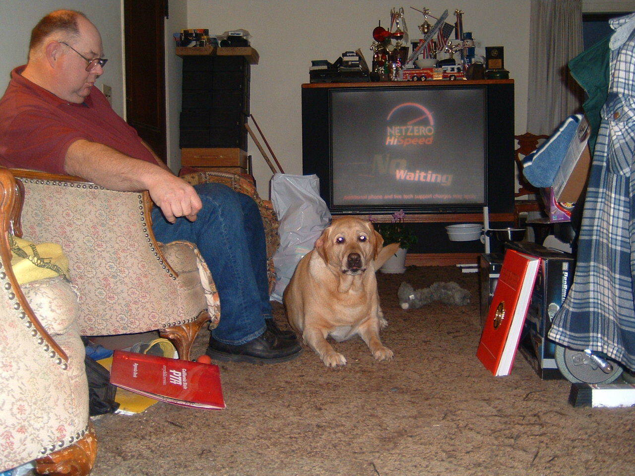 Sunny the Lab