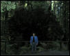 Brian in Front of Dyerville Giant's massive roots