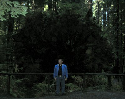 Brian in Front of Dyerville Giant's massive roots