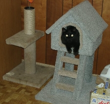 Midnight in PLayhouse