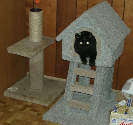 Midnight in PLayhouse