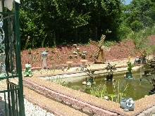 Pond & Birm (with flowers)