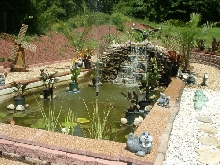 Pond From Front
