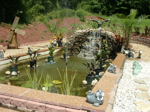 Pond From Front