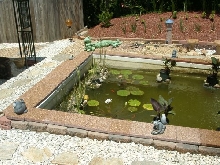 Front of Pond - From Deck