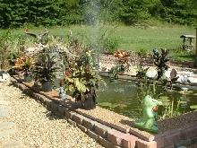 Pond & Yard Beyond, 7/29/03