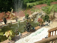 Pond From Deck, 7/29/03