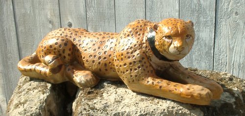 Closeup of Cheetah on Rock