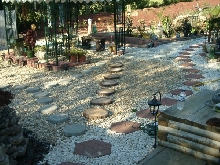Pond Area & Stepping Stones